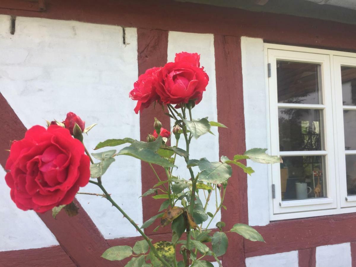 Rosenlund Bed&Breakfast Skovsgårde Exterior foto