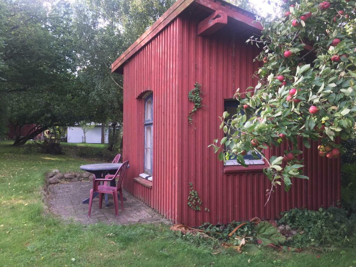 Rosenlund Bed&Breakfast Skovsgårde Exterior foto